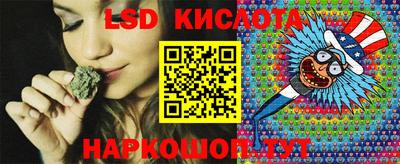крисы Кандалакша