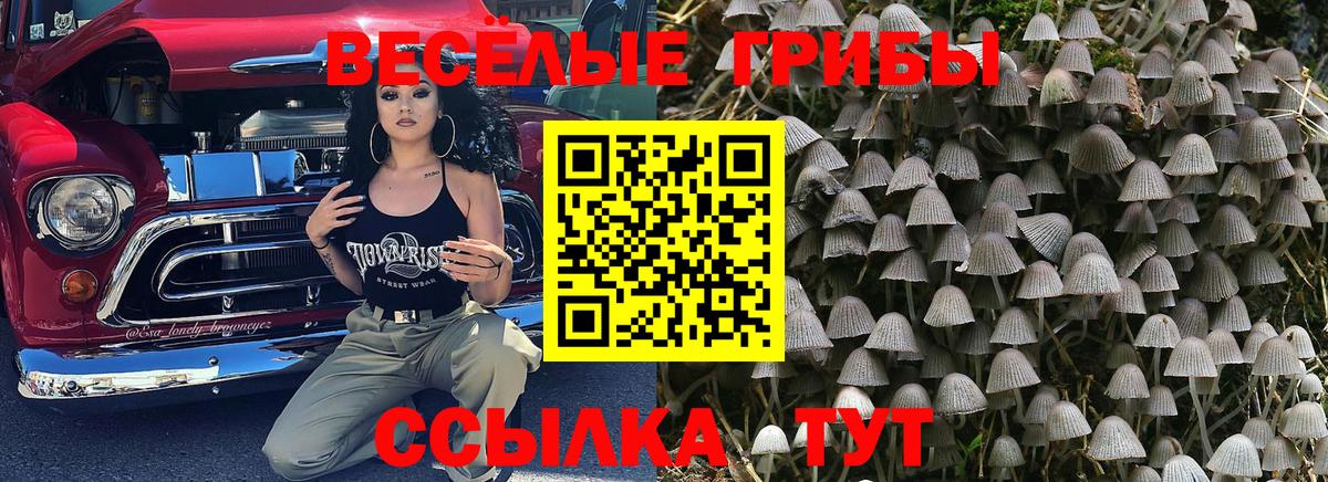 Псилоцибиновые грибы GOLDEN TEACHER  Вход с VPN  Слободской 